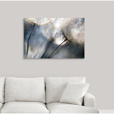 «Carefree» par Ursula Abresch, reproduction sur toile
