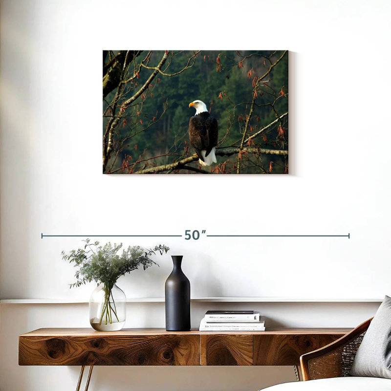 Brampt Perched Canadian Bald Eagle, 20" H x 30" W