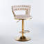 Chaise de bar moderne rembourrée avec pieds en fer doré pour salle à manger, salon, café (ensemble de 2)-1425782753
