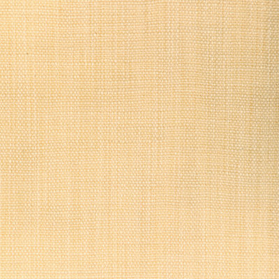 Prairie Texture