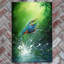 D.FINNEY Traditional Wall Decor on Ceramic