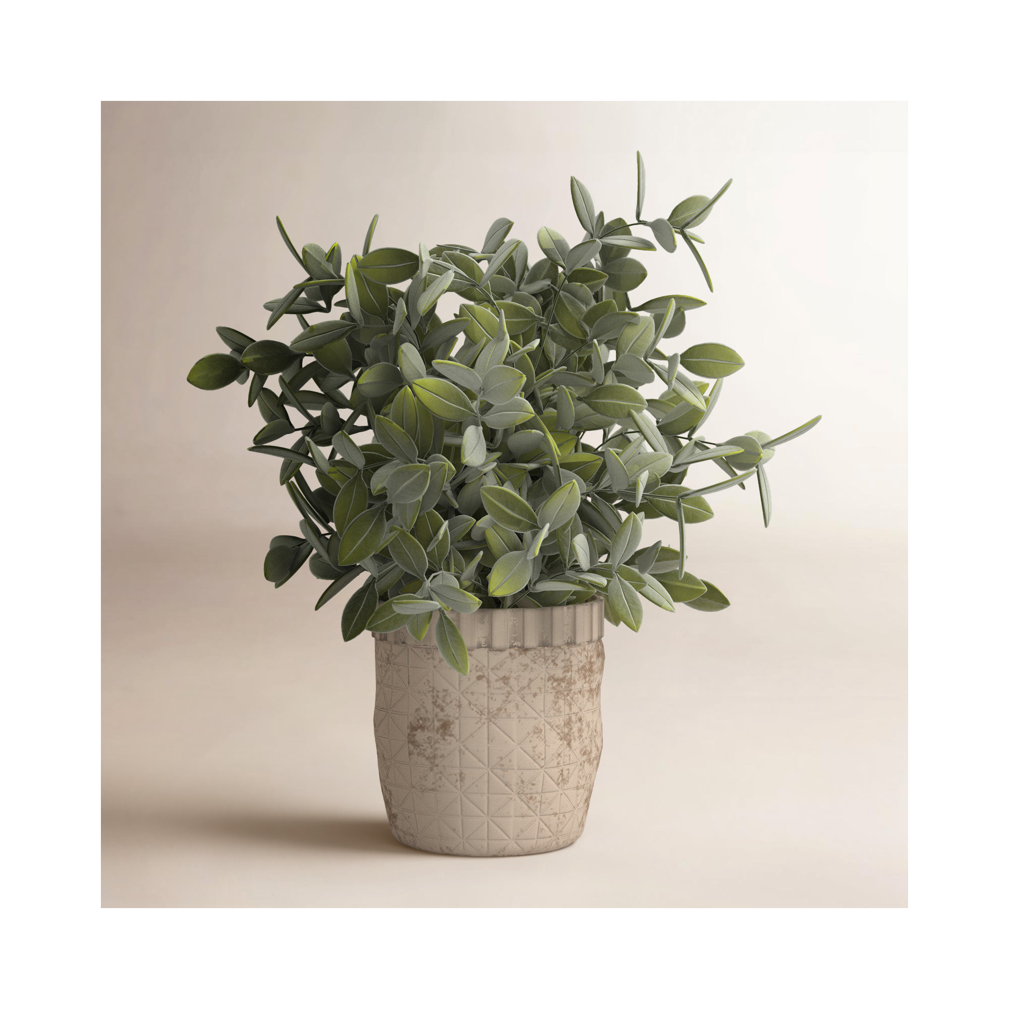 11.5'' Faux Eucalyptus Plant in Ceramic Pot