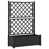 Anthracite selected