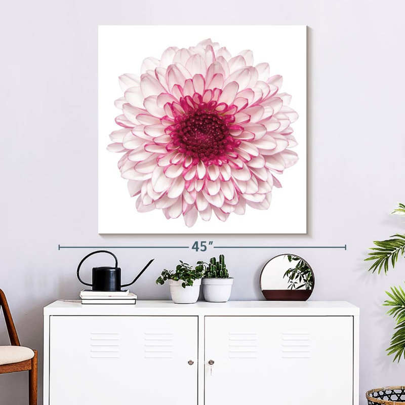 Harnek Pink Chrysanthemum, 33" H x 33" W
