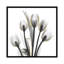 « doréy tulipes i » par albert koetsier,-print-49703856-49703853