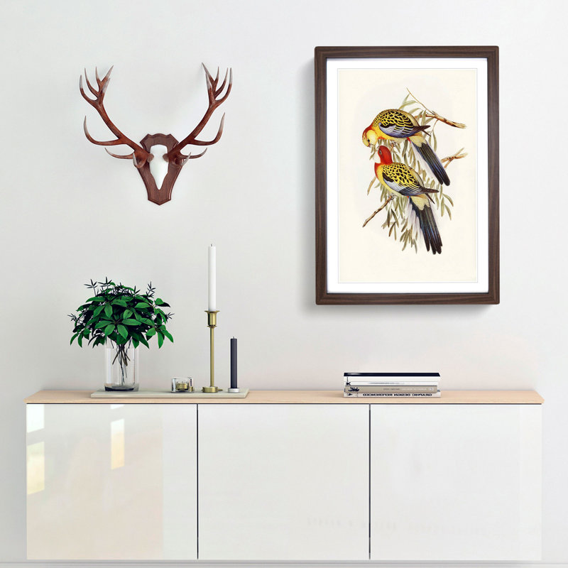Splendid Parakeets by Elizabeth Gould - Picture Frame Painting Print, 36cm H x 27cm W x 2cm D, Walnut Framed