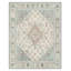 Oriental Machine Printed Indoor / Outdoor Area Rug-1706210260