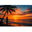 Palmier, coucher de soleil, toile tendue, décor tropical-129452267