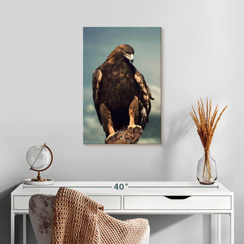 Brampt Regal Golden Eagle, 24" H x 16" W
