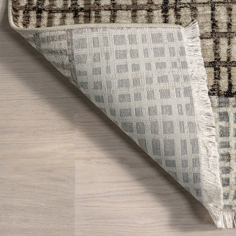  Park Abstract Checked Area Rug, Rectangle 8'10" x 13'