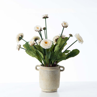 Arrangement floral marguerite anglaise en pot