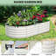 Raised Garden Bed-2112329946