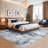 Washable Abstract Area Rugs for Living Room-1528505490