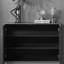 12 Pair Shoe Storage