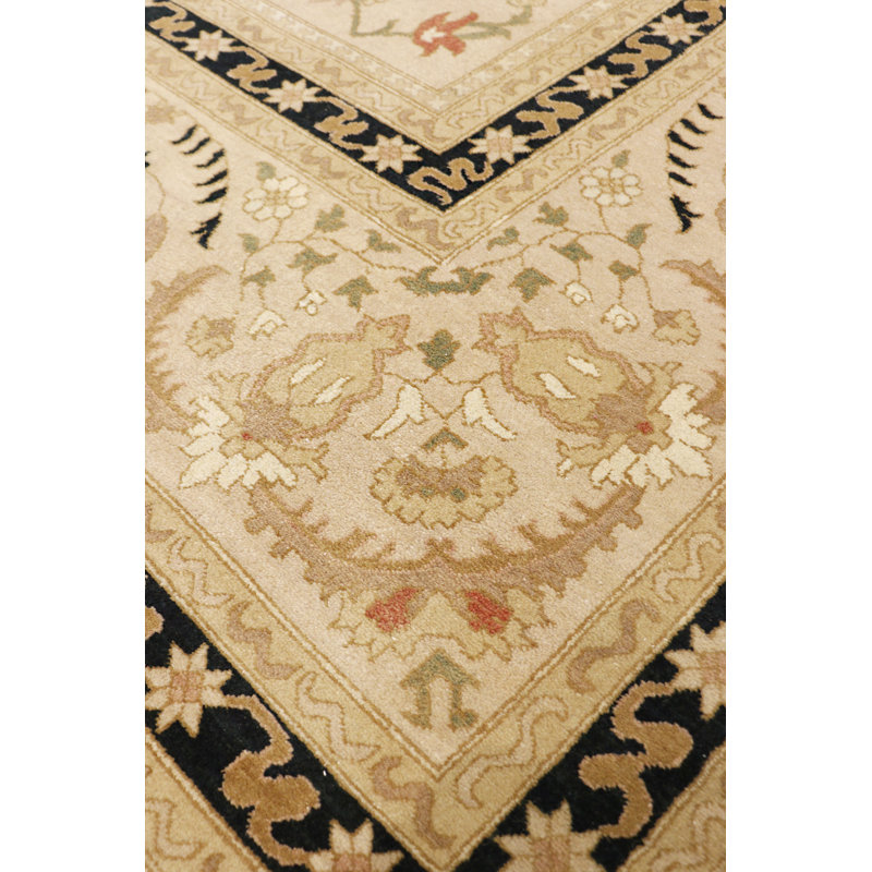 Tapis oriental en laine noué à la main brun clair / noir, Rectangle 8 pi 3 po x 10 pi 7 po