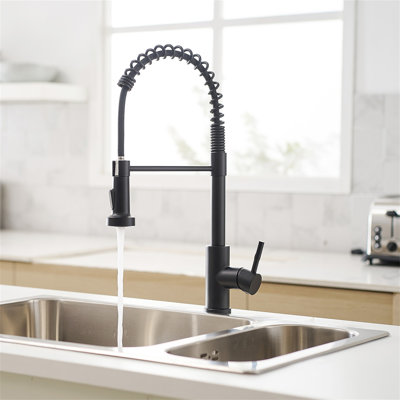 Robinet de cuisine avec douchette extractible, robinet d'évier de cuisine à poignée simple
