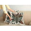 429409_Ambesonne Monstera Throw Pillow Cover 2Pack Boho Abstract Tropical Art-97809299