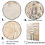 «Beige Trees Oak Solitude VII», reproduction sur toile-348280228-348280231