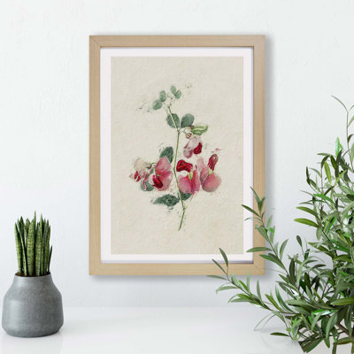 'Sweet Pea Flowers' - Picture Frame Painting Print on Paper