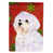 Bichon maltais 2