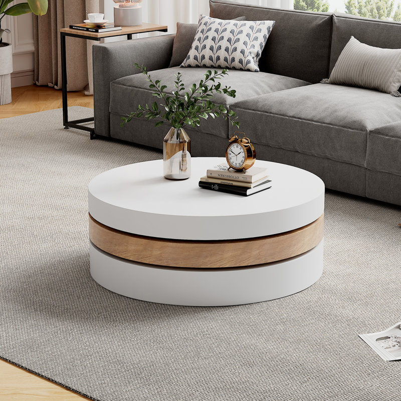 Coffee Table with Storage