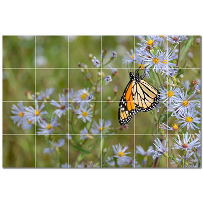 Butterfly Photo 12'' x 12'' Satin Ceramic Decorative Mural