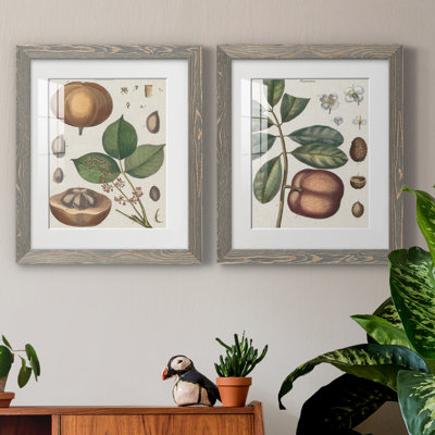 " Exotic Botanique III " 2 - Pieces