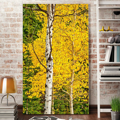 «Sunny Blooms», reproduction de photo