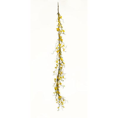 Guirlande forsythia étoile 4 pi