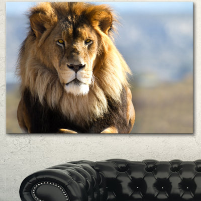 Fierce Face of King of the Wild - reproduction de photo sur toile tendue