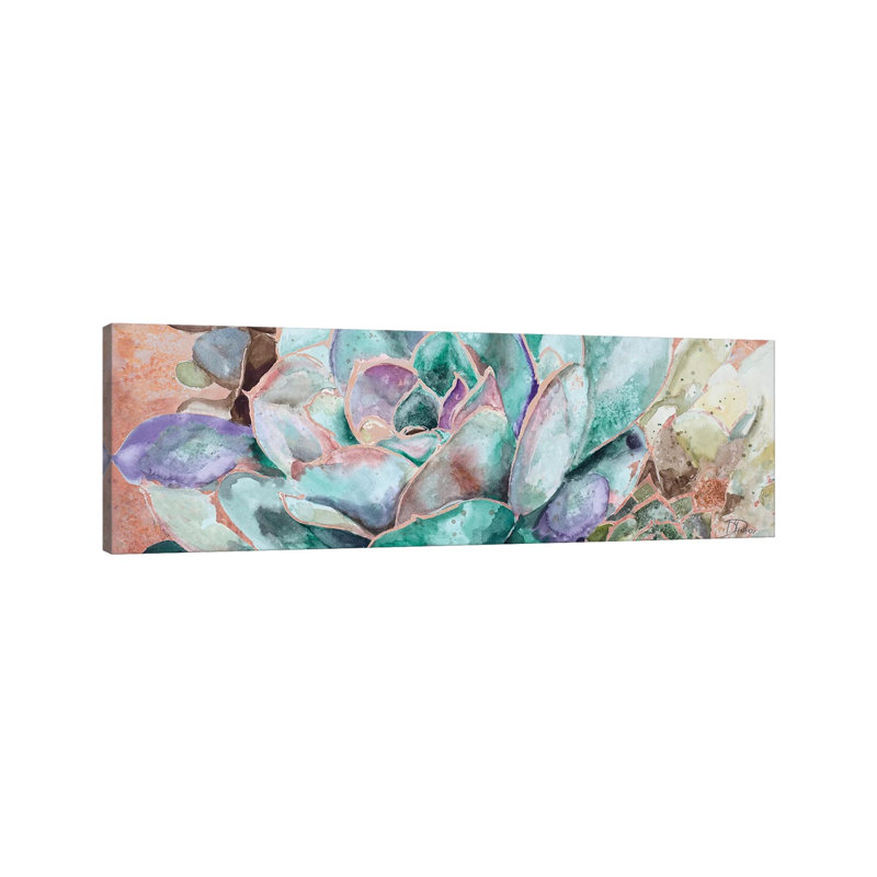 Desert Flower On Terra Cotta by Patricia Pinto - Wrapped Canvas Panoramic Print, 30.48cm H x 91.44cm W