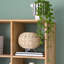 GrapWOOD Solid Wood Bookcase-1298443674