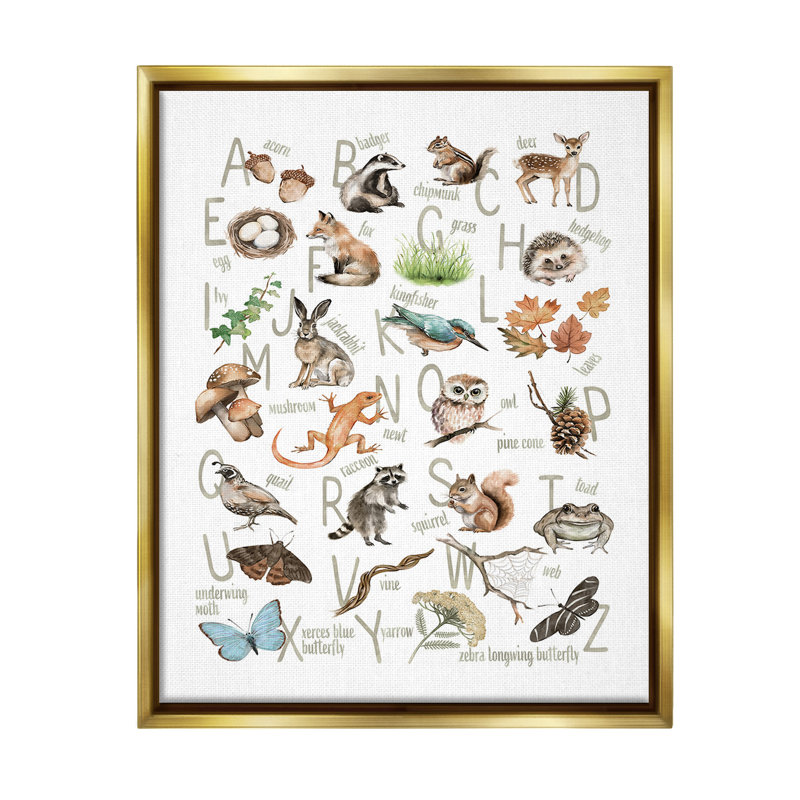 "Woodland Nature Alphabet" par Ziwei Li sur toile, Cadre flottant métallique doré, H 21 po x l 17 po
