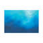 In The Element by Nina Enger - Gallery-Wrapped Canvas Giclée on Canvas-968683099-968683079