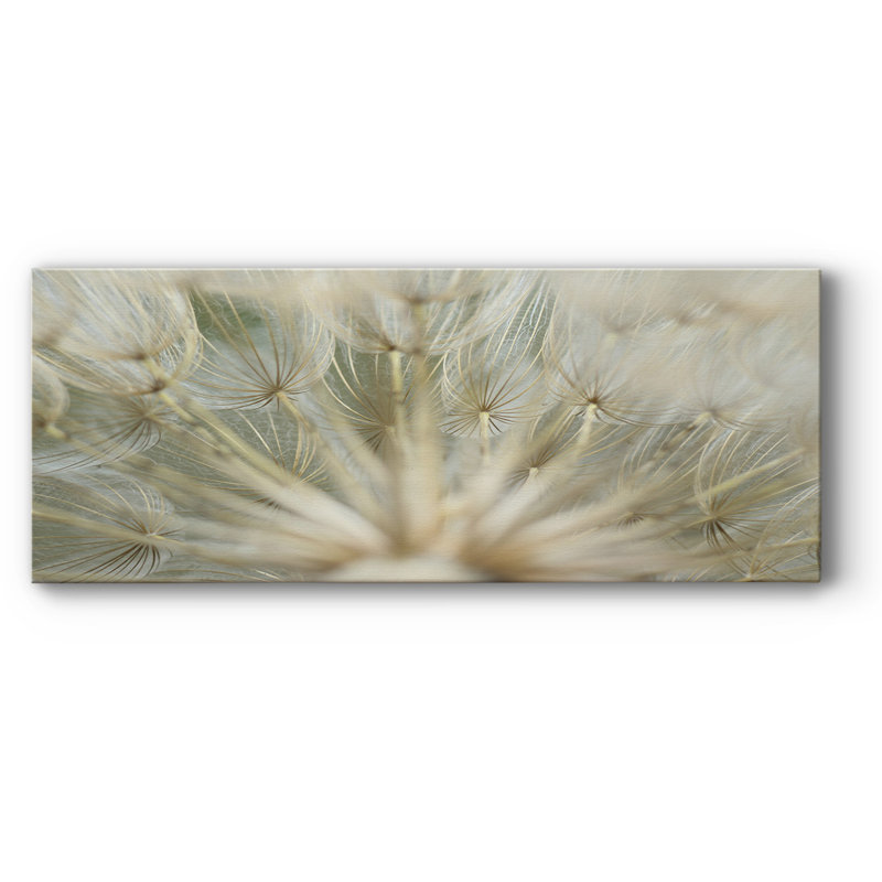 " Macro Dandelion IV ", 20" H x 50" W x 1.5" D