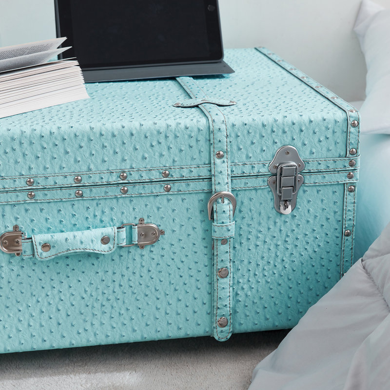 Texture Brand Trunk - Vibrant Aqua Ostrich, Blue