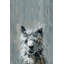 Julia Posokhova - Wrapped Canvas Painting-1832482577