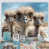 Toile tendue