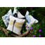 Kiser Square Cushion Cover