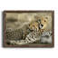 Ensemble de sous-verres 4 pièces 4 pièces-501012918-501012922