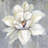 flower on wood - 32"x32" art on canvas