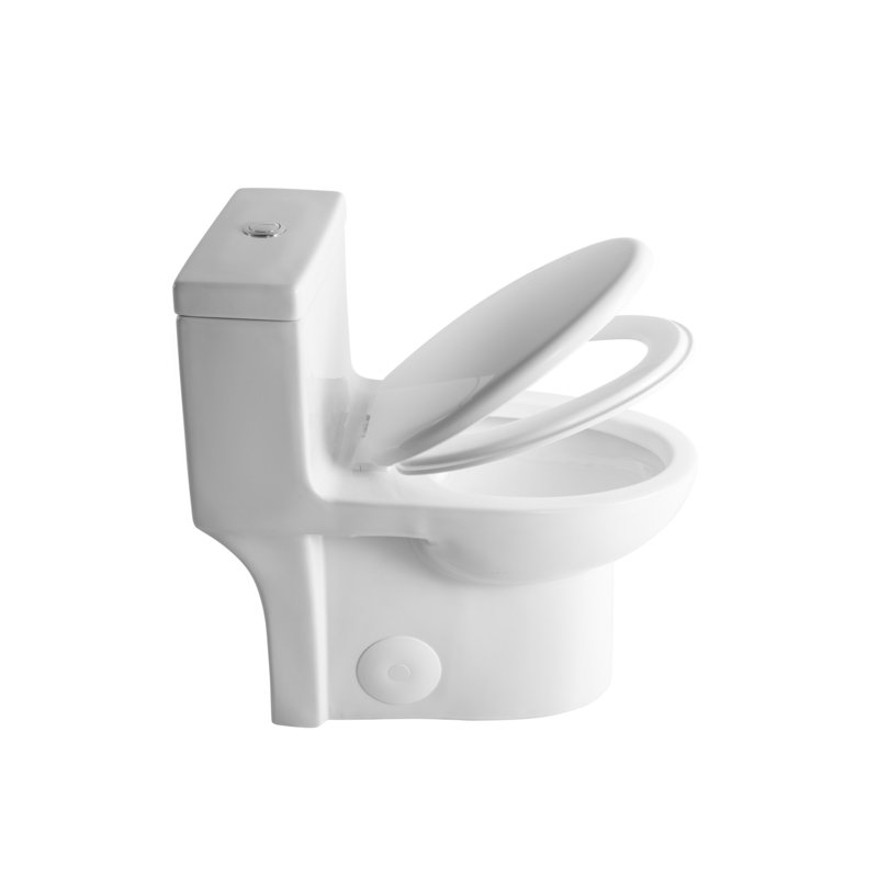 Dual Flush One Piece Toilet Tank Top With Button Bright White