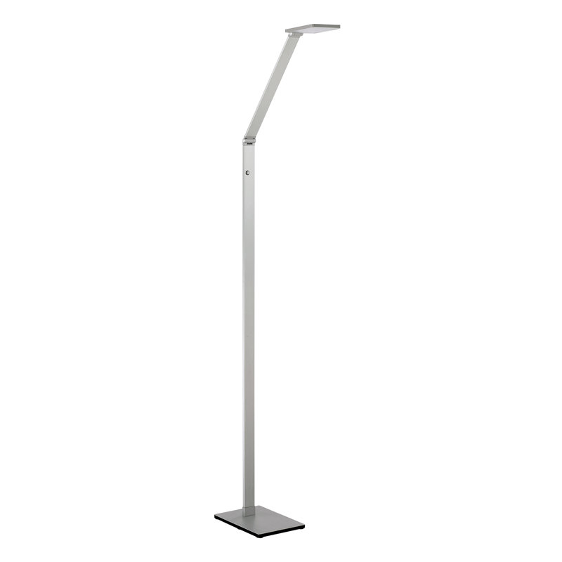Bridewell 49'' LED Task Floor Lamp, Aluminum