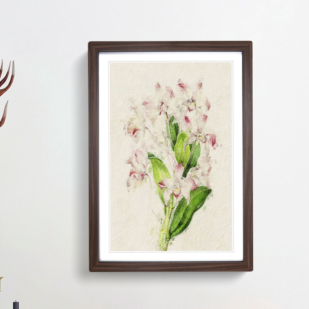 Illustration of Pink Dendrobium Orchids - Picture Frame Painting Print