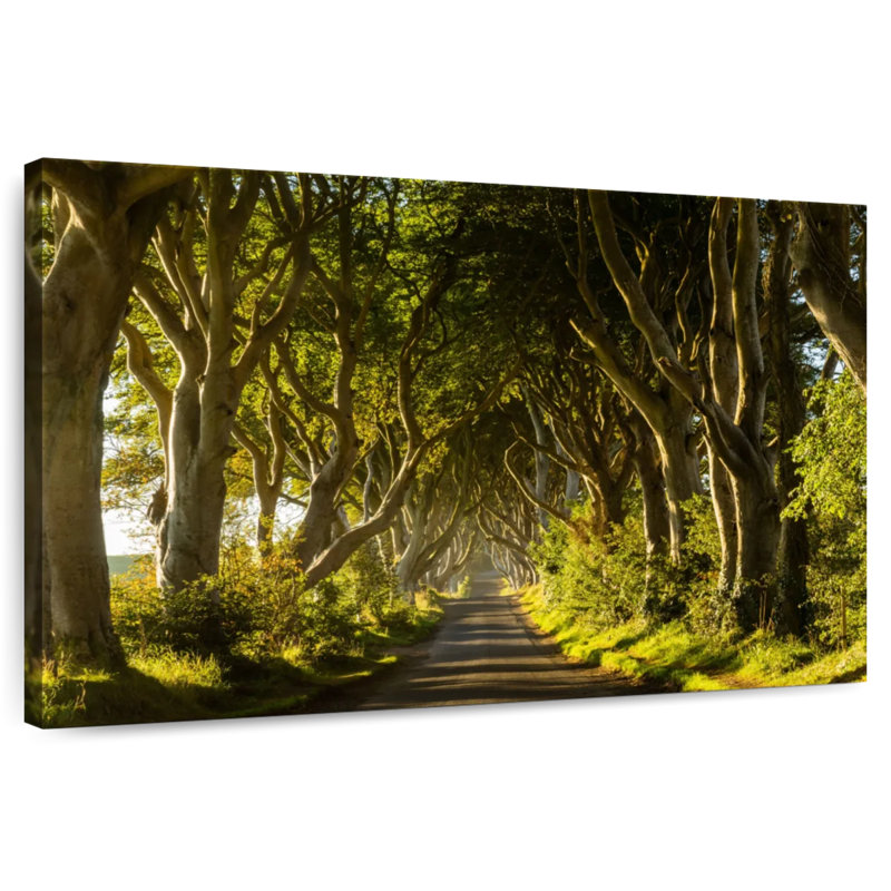 Harnek Sunlit Trees Path, 32" H x 48" W