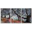 «Grove of Olive Trees In Bordviera», 1884, reproduction d'art encadrée sur toile-1940100866-1940100864