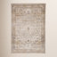 Lynnette Gray Beige Oriental Rug