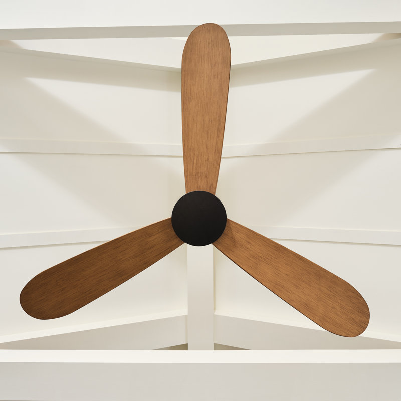 Visual Comfort Fan Paddle Smart 52 Indoor Ceiling Fan with Threaded Downrod, Matte White ABS blades and Handheld Remote, Oak