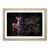 Oak Framed selected