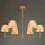 6 - Light Chandelier